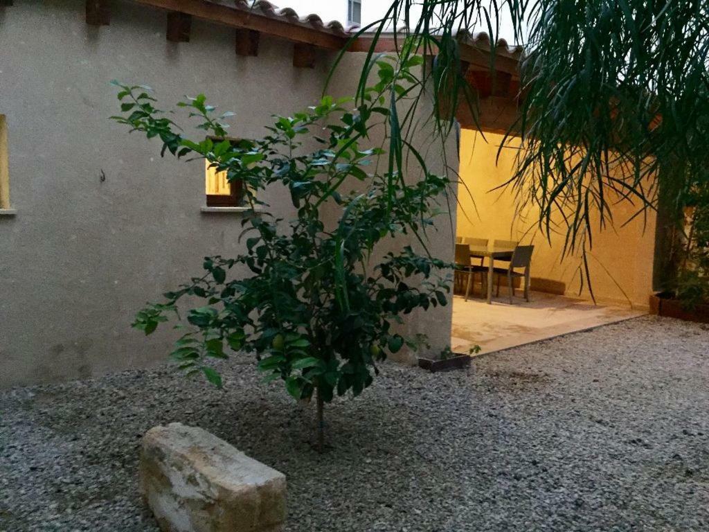 Almahome El Arenal  Luaran gambar